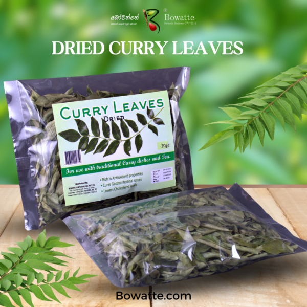 curry leaves