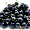 black current