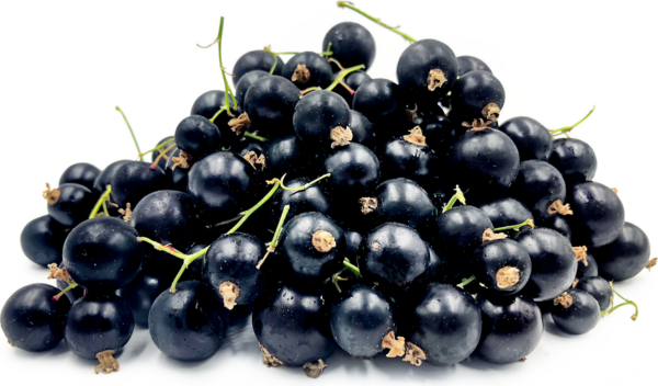 black current